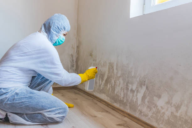 Mold Remediation specialist working in Canton